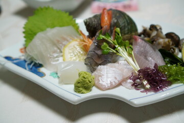 老舗割烹の新鮮な刺盛り