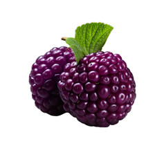 boysenberry isolated on transparent background, png