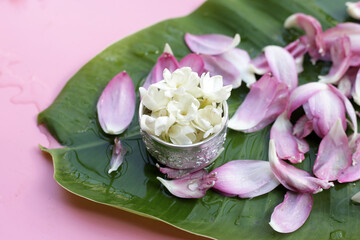 Obraz na płótnie Canvas Jasmine flower in silver bowl on lotus petal . Thai tradition, Songkran festival concept