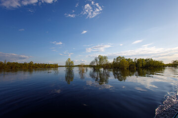 summer landscape with the river, forest and blue sky