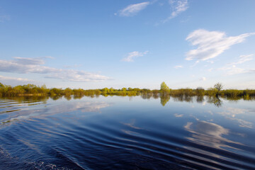 summer landscape with the river, forest and blue sky
