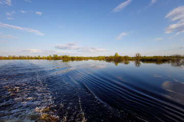 summer landscape with the river, forest and blue sky