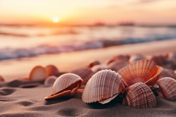 Close-up of assorted seashells on scenic sandy beach in captivating seascape view - obrazy, fototapety, plakaty