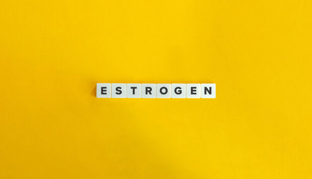 Estrogen Word. The Primary Female Sex Hormone, the Menstrual Cycle, Reproductive System, and Mood Regulator.