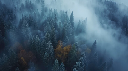 Fototapeta na wymiar Misty forest with few trees in foreground