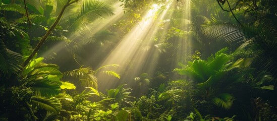 Vivid Sunlight Piercing Through Green Jungle Canopy, Serene Nature Scene