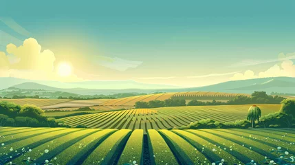 Poster Agricultural landscape with green fields © Cybonad