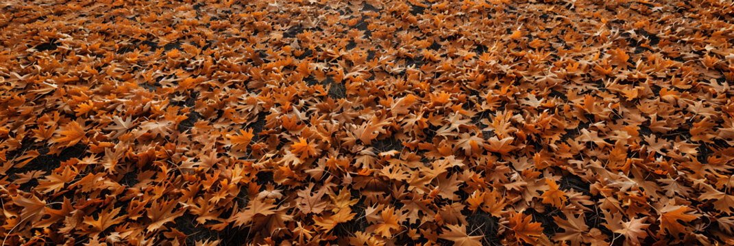 A realistic aerial photograph of a field completely covered with autumn leaves