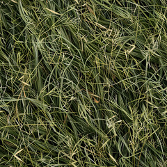 Obraz premium seamless grass texture