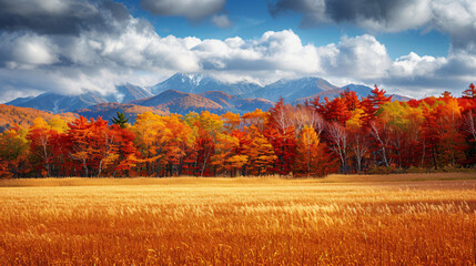 Autumn countryside field in Hokkaido Japan
