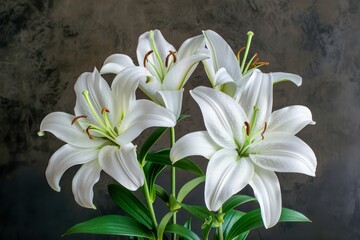 Elegant White Lilies Bouquet with Vibrant Green Leaves on Dark Textured Background, A Symbol of Purity and Tranquility in Flora
