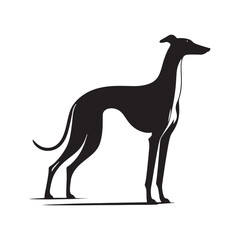 Elegant Grace: Vector Greyhound Silhouette - Capturing the Majestic Beauty and Graceful Form of this Iconic Canine Breed.