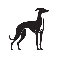 Elegant Grace: Vector Greyhound Silhouette - Capturing the Majestic Beauty and Graceful Form of this Iconic Canine Breed.