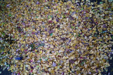 愛宕神社の境内の石畳に落ちた紅葉の絨毯