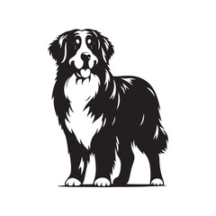 Bernese Mountain Dog Silhouette: A Majestic Tribute to the Strength, Loyalty, and Beauty of this Beloved Canine Companion. Vector Bernese Mountain Dog Silhouette.