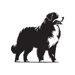 Bernese Mountain Dog Silhouette: A Majestic Tribute to the Strength, Loyalty, and Beauty of this Beloved Canine Companion. Vector Bernese Mountain Dog Silhouette.