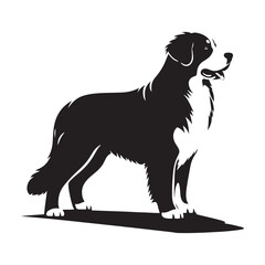 Bernese Mountain Dog Silhouette: A Majestic Tribute to the Strength, Loyalty, and Beauty of this Beloved Canine Companion. Vector Bernese Mountain Dog Silhouette.