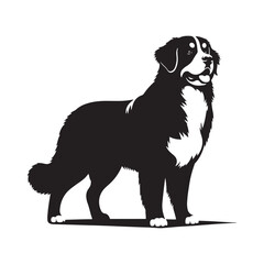 Bernese Mountain Dog Silhouette: A Majestic Tribute to the Strength, Loyalty, and Beauty of this Beloved Canine Companion. Vector Bernese Mountain Dog Silhouette.