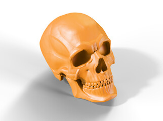 3D render of metallic human skull isolated on white background