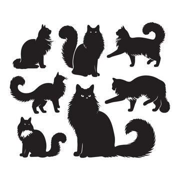 Graceful Ragdoll: Vector Silhouette - Capturing the Elegance and Charm of the Beloved Ragdoll Cat Breed in Elegant Form, Vector Ragdoll, Ragdoll Silhouette