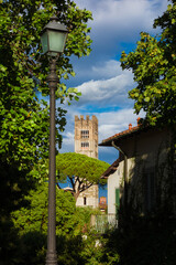 Lucca historical center view with Saint Fredianus medieval bell tower
