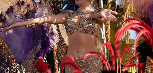 Beautiful bright colorful carnival costume. Samba dancer hips carnival costume bikini feathers...