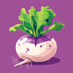 Turnip illustration vector