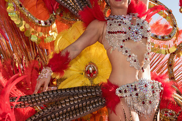 Beautiful bright colorful carnival costume. Samba dancer hips carnival costume bikini feathers...