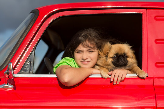 child girl  with a dog peke in hand sits in the cab of a red pickup truck with watermelons.  summer time in nature in the village