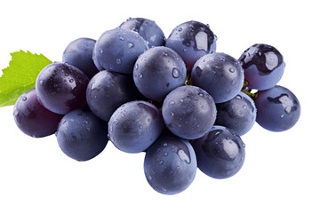 Blue wet grapes bunch isolated on transparent and white background.PNG image.	