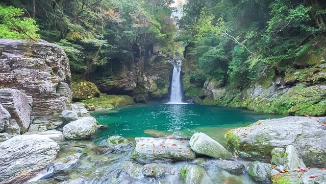 にこ淵