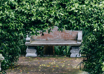 Empty old concrete park bench, made in antique Greek style, surrounded by green foliage, close up. A place of solitude with nature. Summer garden