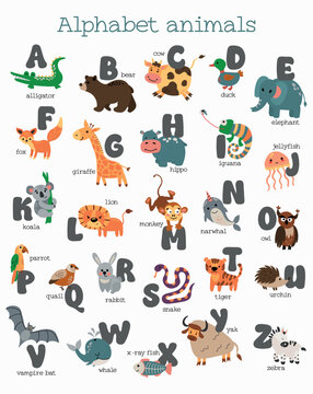 Cute animal alphabet. English Alphabet poster. ABC. 