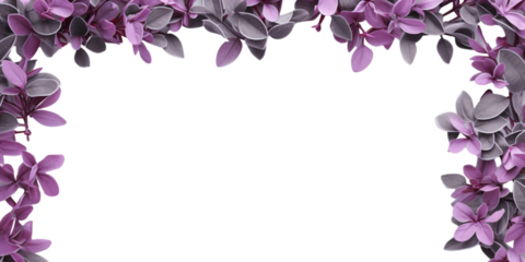 background and frame of purple plant isolated on a white background as transparent PNG