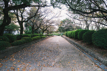 A port located in the northern part of Lake Biwa, famous for being one of the largest lakes in Japan【Nagahama Port】