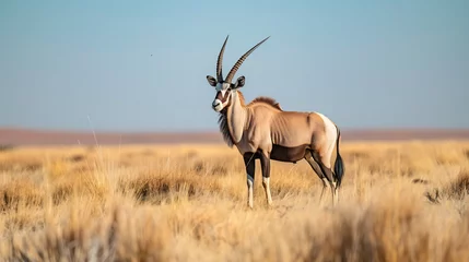 Stof per meter Gemsbok Oryx gazelladominant Gemsbok antelope © Johnu