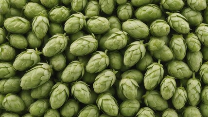 Fresh Hops And Wheat Cones Isolated On White
