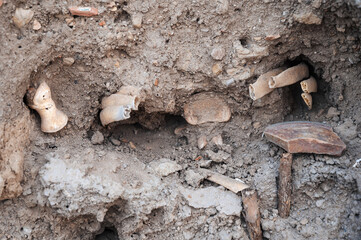 The ruins of an ancient city. A close-up shot of the bones in the wall. Archaeological excavations of historical sites.
