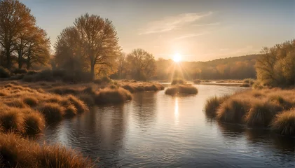 Foto op Canvas Sunrise over a River in the Forest © Noboru