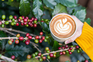 beautiful Latte art coffee with coffee tree