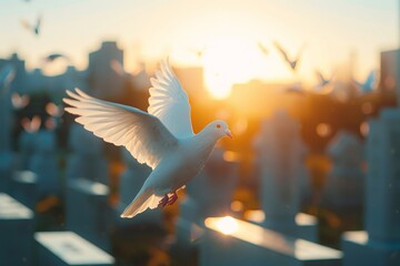 White Bird Flying Over Cemetery at Sunset