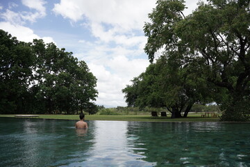 Fototapeta na wymiar A person is swimming in a landscape jungle with a swimming pool, trees and clouds.