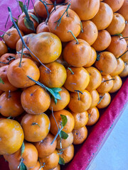 Fresh Oranges Stock.