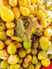 Ripped Yellow Guava Collection 