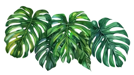 Zelfklevend Fotobehang Monstera Exotic Tropical Foliage: Palm Leaves, Monstera, and More - Watercolor Vector Illustration on White Background
