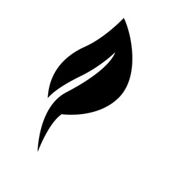 Leaf Icon and Symbols isolated on white background.