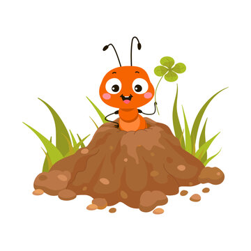 Cute cartoon ant looking from ground hill. Funny insect on ant hill with green plant. Nature forest or garden character, nowaday vector print template