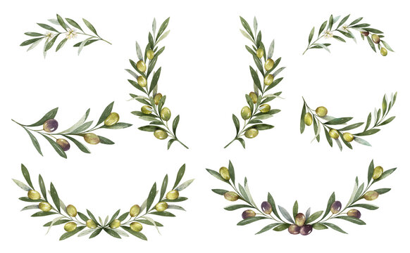 Watercolor set of frames and wreaths of olive branches. Design for invitations, cards, stickers, albums, fabric, home decoration.  Holiday decor.  Hand drawn illustration.