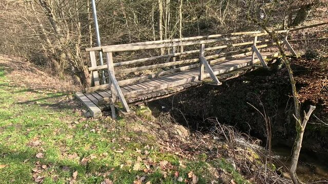 Wooden bridge and a clear stream in sunny forest