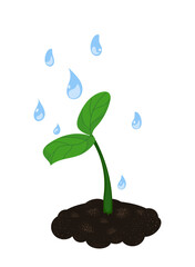 Small green sprout is watered with clear water. Water is symbol of life. Colorful vector texture pattern isolated on white background